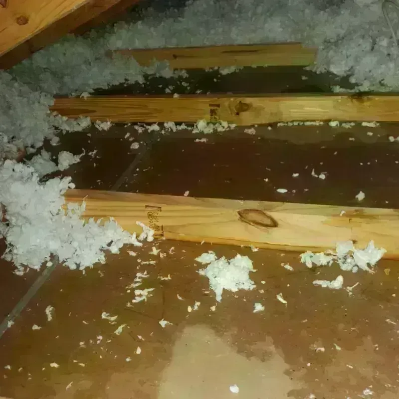 Attic Water Damage in Camano, WA