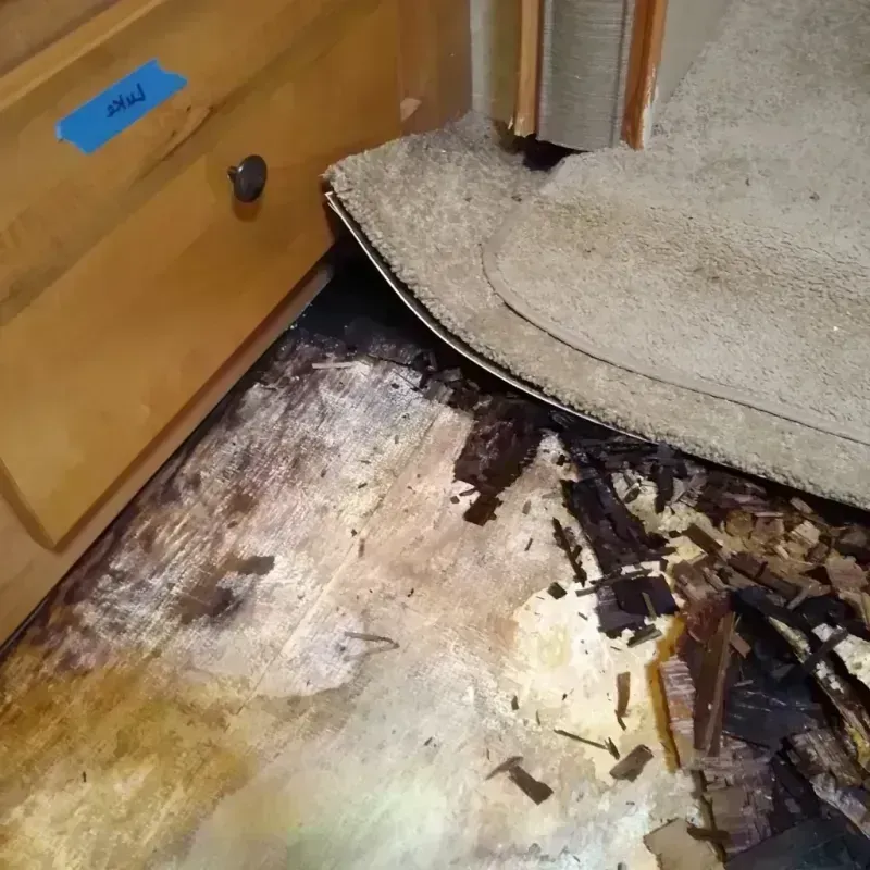 Wood Floor Water Damage in Camano, WA